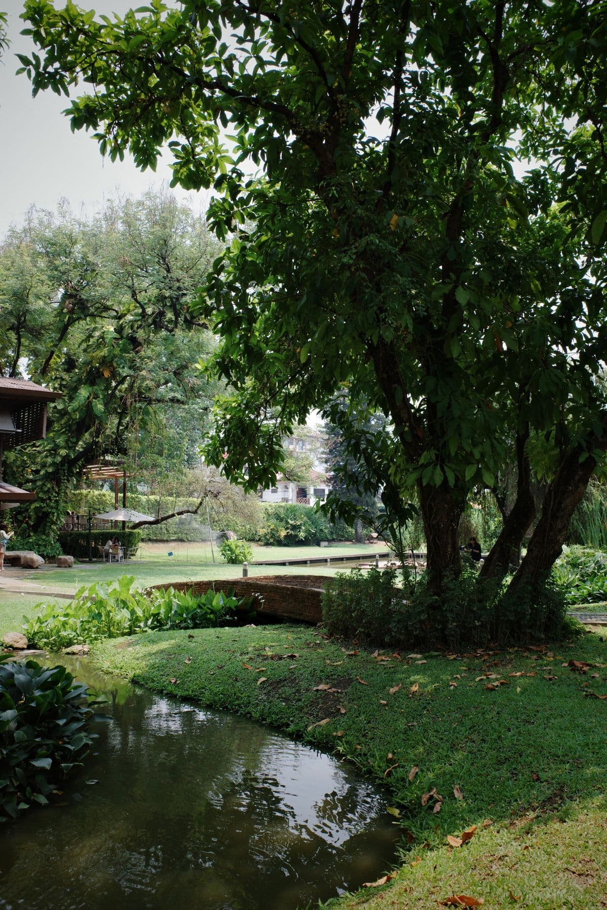 Doi Suthep, Chiang Mai